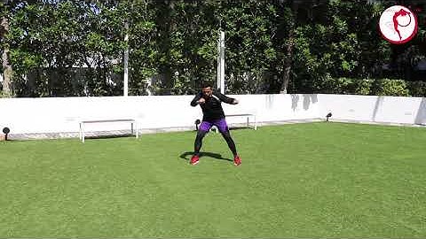 StepFlix Capoeira, level 1, class 17: Ginga with Rabo de Arraia