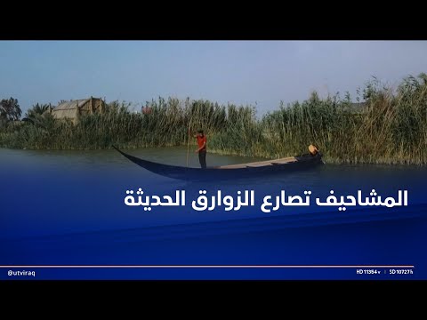 المشاحيف تصارع الزوارق الحديثة محاولة لإحياء صناعة مراكب جابت الأنهار والأهوار آلاف السنين