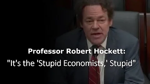 Professor Robert Hockett:"It's the 'Stupid Economi...