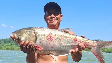 BẤT NGỜ ĐẬP TRÀN THỦY ĐIỆN TRỊ AN ĐÓNG 2 CỬA XẢ CÁC ANH CHÀI CÁ TRÚNG MÁNH BẮT ĐƯỢC CÁ TO 