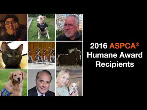 Video: ASPCA kunngjør mottakere av 2017 Humane Awards