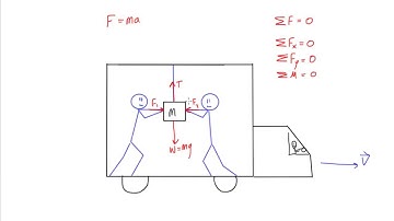 What is static equilibrium