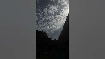 سورة التوبة ، ياسر الدوسري .