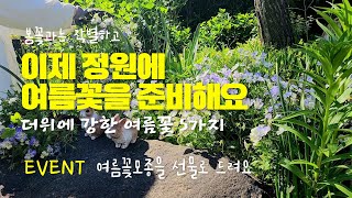 이제 정원에 여름꽃을 준비해요 ㅣ 더위에 강한 여름꽃 5가지 ㅣ [마감]구독자이벤트 여름꽃모종을 선물로 드려요 :)