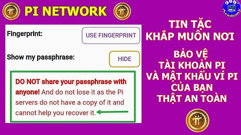 Pi Network: Tin Tặc Khắp Nơi. Hãy Bảo Vệ Tài Khoản Pi và Mật Khẩu Ví Pi của bạn thật an toàn