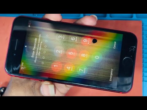 iPhone SE (2020