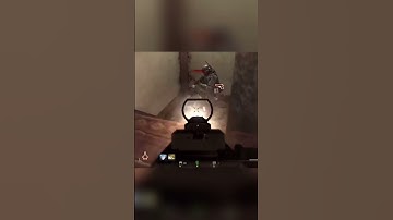 CoD MW3 Survival Mode Wave 299 on SEATOWN