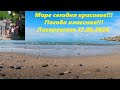 Дельфин стал шире!!!  Лазаревское 17.05.2024. Граница &quot;Свирского&quot; и &quot;Дельфина&quot;🌴ЛАЗАРЕВСКОЕ СЕГОДНЯ🌴