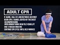 Newlifecpr adult cpr