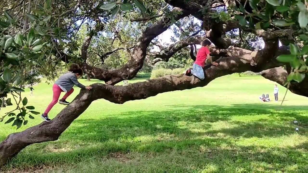 One day in Queens park 