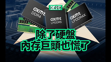 市佔率不到10%的國產內存廠商，如何讓行業巨頭破防的？