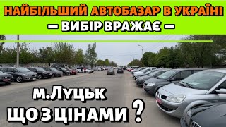 ШАЛЕНИЙ ВИБІР СВІЖИХ АВТО❗️ЛУЦЬКИЙ АВТОРИНОК❗️19.04.2024