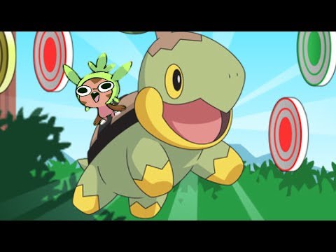 POKEMON: Turtwigu0027s Target Smash: Why Am I Playing This?