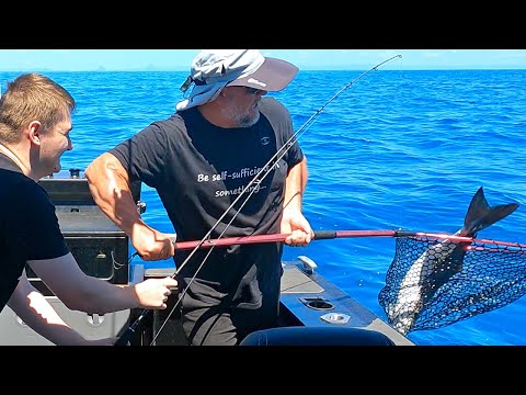 Total SHOCK and CHAOS catching our first Pelagic! | Beginners Fishing