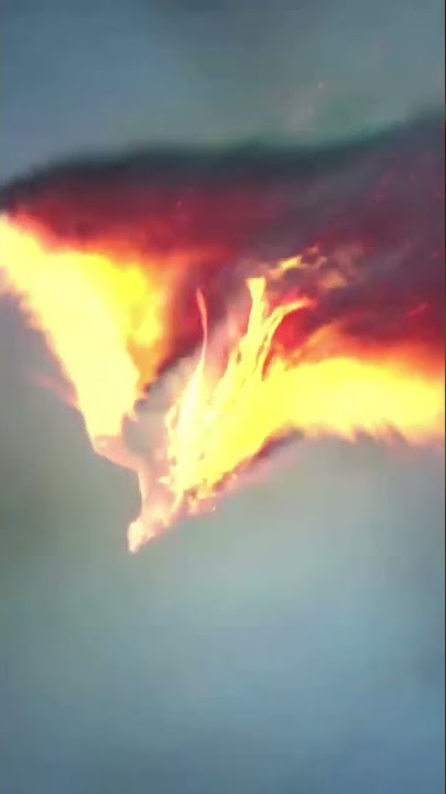 Phoenix Bird Flying 🔥🐦 #phoenix #phoenixbird #shorts #youtubeshort #shortsfeed