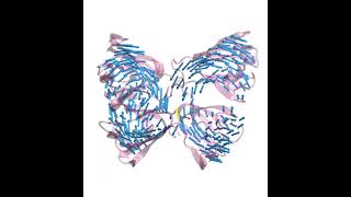 GammaS - DTT_SH1 MD (1000ns) Principal Component Mode 1