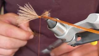 Caddis fly "mother's day caddis pattern"