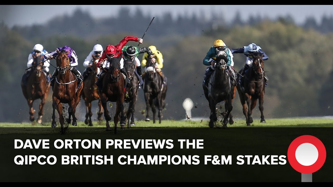 ascot racecourse wiki Qipco Champions Day: Dave Orton's Fillies & Mares NAP