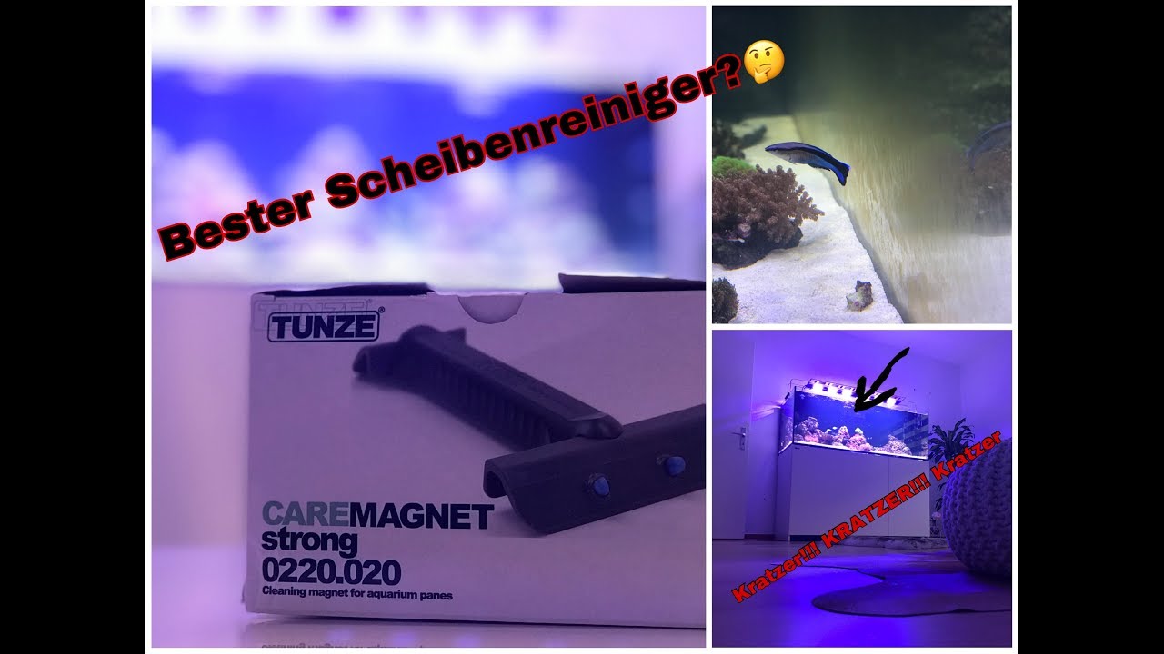 Red Sea Reefer / Mein Meerwasseraquarium/Kratzer an derScheibe!Welchen Scheibenreiniger benutze ich?
