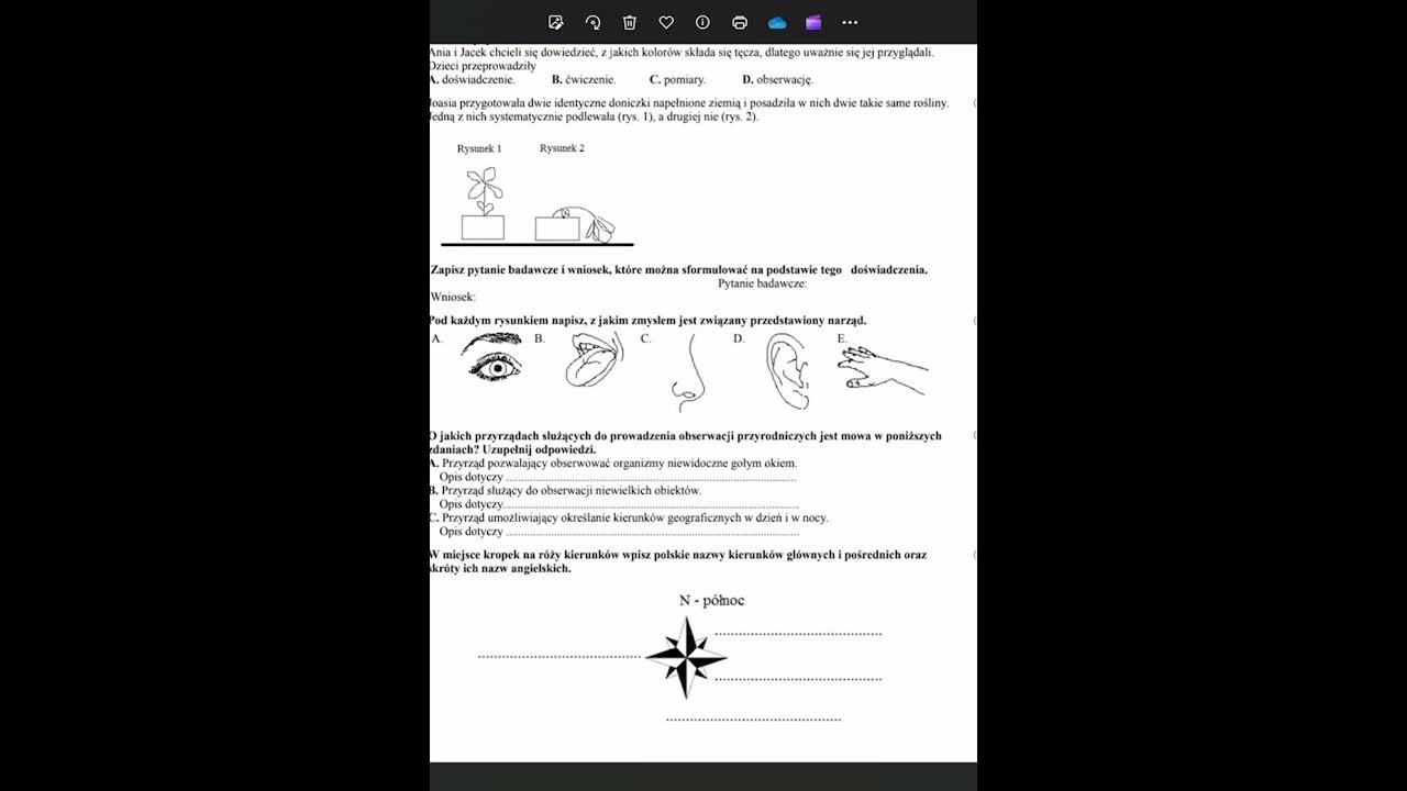 Test Z Przyrody Klasa 4 Dzial 4 Nowa Era Pdf Sprawdziany Pdf Tajemnice Przyrody Klasa 4 Podręcznik NOWA ERA - YouTube