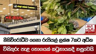 නීතිවිරෝධීව ගෙනා රුපියල් ලක්ෂ 7කට අධික විසිතුරු පැළ තොගයක් කටුනායකදී හසුවෙයි | Ada Derana