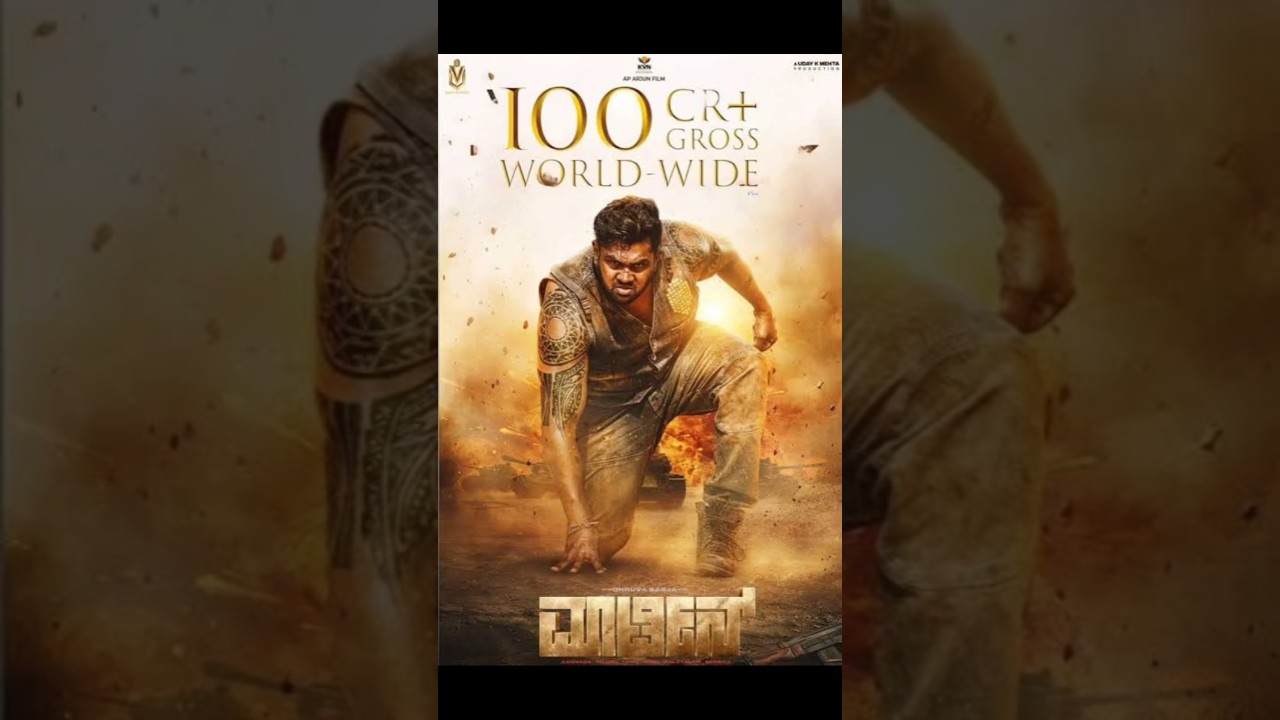 MARTIN SHOCKING WORLDWIDE COLLECTION || Fake Collection Rumours || Martin Review || Dhruva Sarja ||