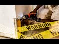 How to repair water damage walls for the Beginner DIY &amp; the tools needed. Fixing flooded  house.