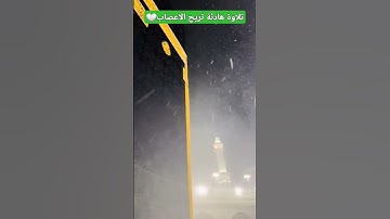 #ياسرالدوسري #يارب #القرآن_الكريم #تلاوة_خاشعة #الله #لايك #رسول_الله #اكسبلور #دعاء #ترند #حديث
