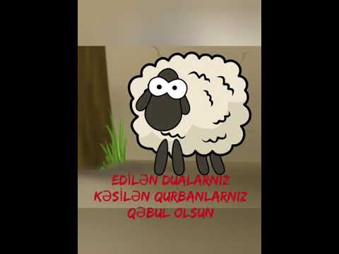 Qurban bayramı təbrik videosu.bayram təbriki.Qurbana aid video.Qurban bayramınız Mübarək olsun 🌷