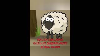 Qurban bayramı təbrik videosu.bayram təbriki.Qurbana aid video.Qurban bayramınız Mübarək olsun 🌷