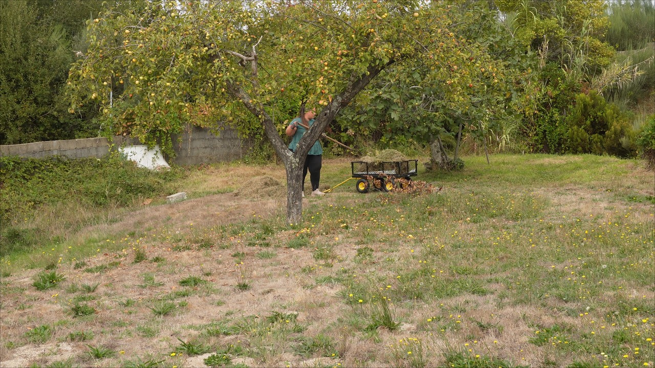 #192 compost, gnocchis y nuevos semilleros en mi casa en el campo