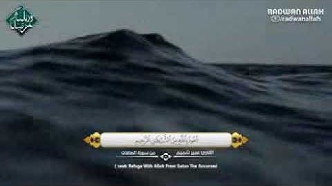 عندما تجتمع البحه مع القرآن تلاوة خاشعة بصوت عمير شميم.❤️🌹