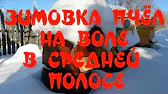 ПЧЕЛОВОДСТВО Пчелиный Шалаш