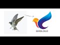 Coreldraw Tutorial - Professional Bird Logo Design - Ahsan Sabri