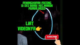 viral!!PENANGKAPAN POCONG di BRABE MARON PURBOLINGGO