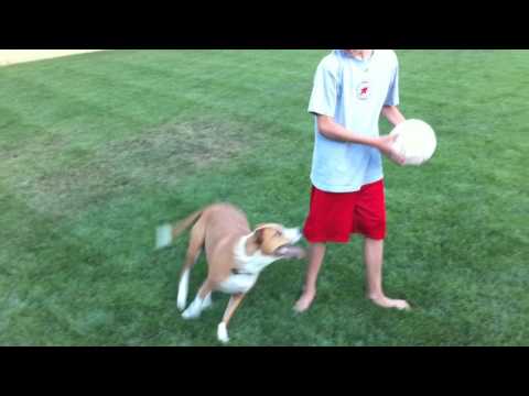 Jenna Jamison Parkford plays soccer with Jack and Katie