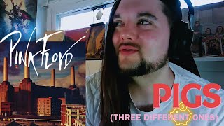 Drummer reacts to "Pigs (Three Different Ones)" by Pink Floyd