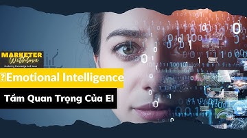 Trí Tuệ Cảm Xúc Emotional Intelligence Là Gì? Tầm Quan Trọng Của EI l MARKETER WITH LOVE