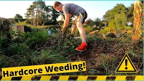 The benefits of hand weeding | no chemical usage | Clearing a new border in the garden | bye weeds!