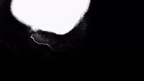 Bloom Ink. Beautiful White Watercolor Ink Drops Transition on Black Background | Stock Footage -