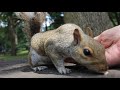 Whitey Loves Feeding From My Palm, BEST!