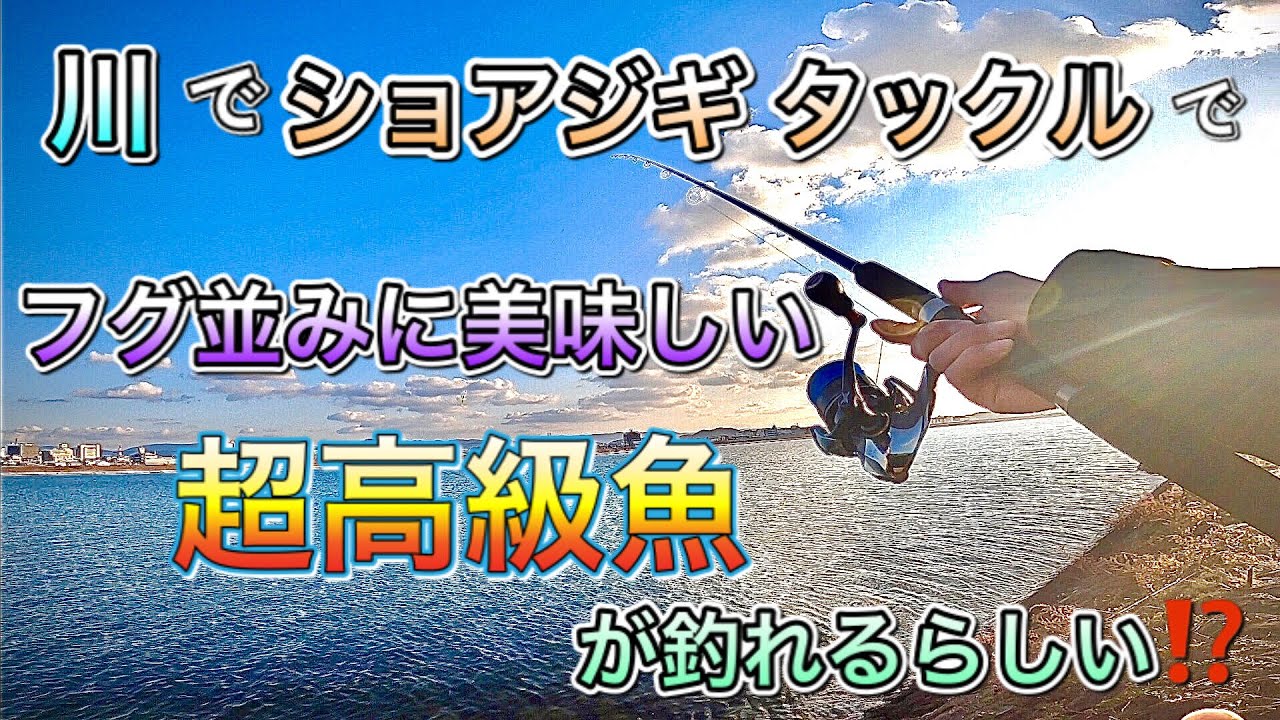 ショアジギング 川でショアジギタックルでフグ並においしいという噂の超高級魚が釣れるらしい Youtube