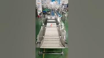 Automatic Paper Paging Machine with Stacking Collection System for Efficient Sorting and Counting