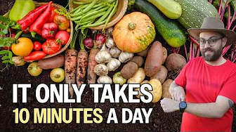 How I Grow More With Less Time