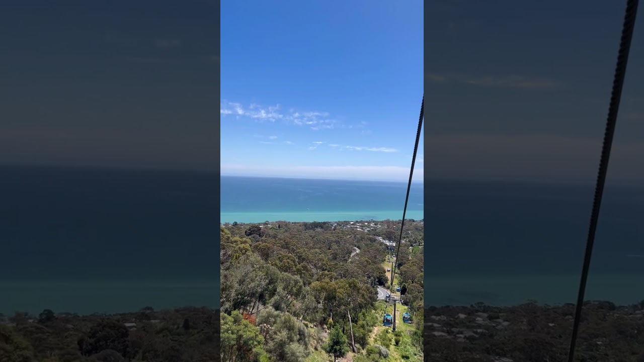 Arthurs Seat Eagle|Mornington Peninsula|Gondola Ride|Australia 