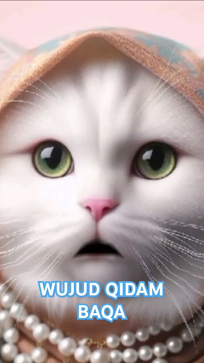 Puji pujian wujud Qidam Baqa || 20 sifat Alloh #kucing #cat #ontrending #pecintasholawatnabi #shorts