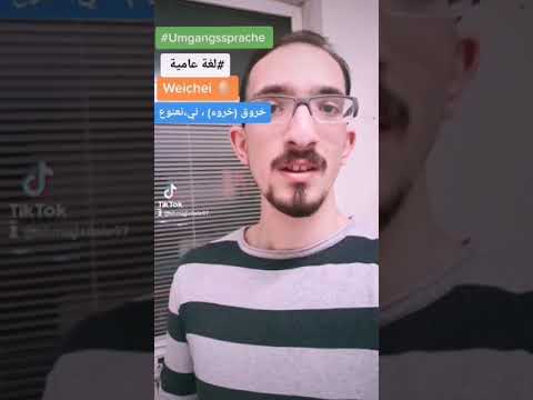 كيف بتقول أنت واحد خروق نعنوع ني باللغة الألمانية العامية