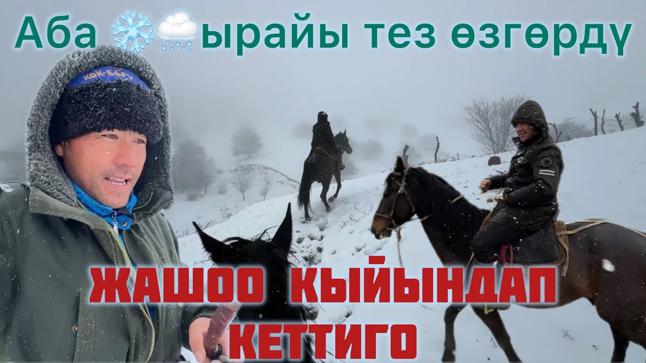 КААР ЖАБЫП СУКТА ЖЫЛКЫГА БААРДЫК