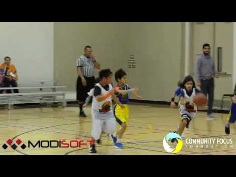Basketball Bonanza — Week 4 Highlights