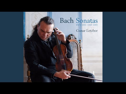 Violin Sonata No. 1 in G Minor, BWV 1001: I. Adagio